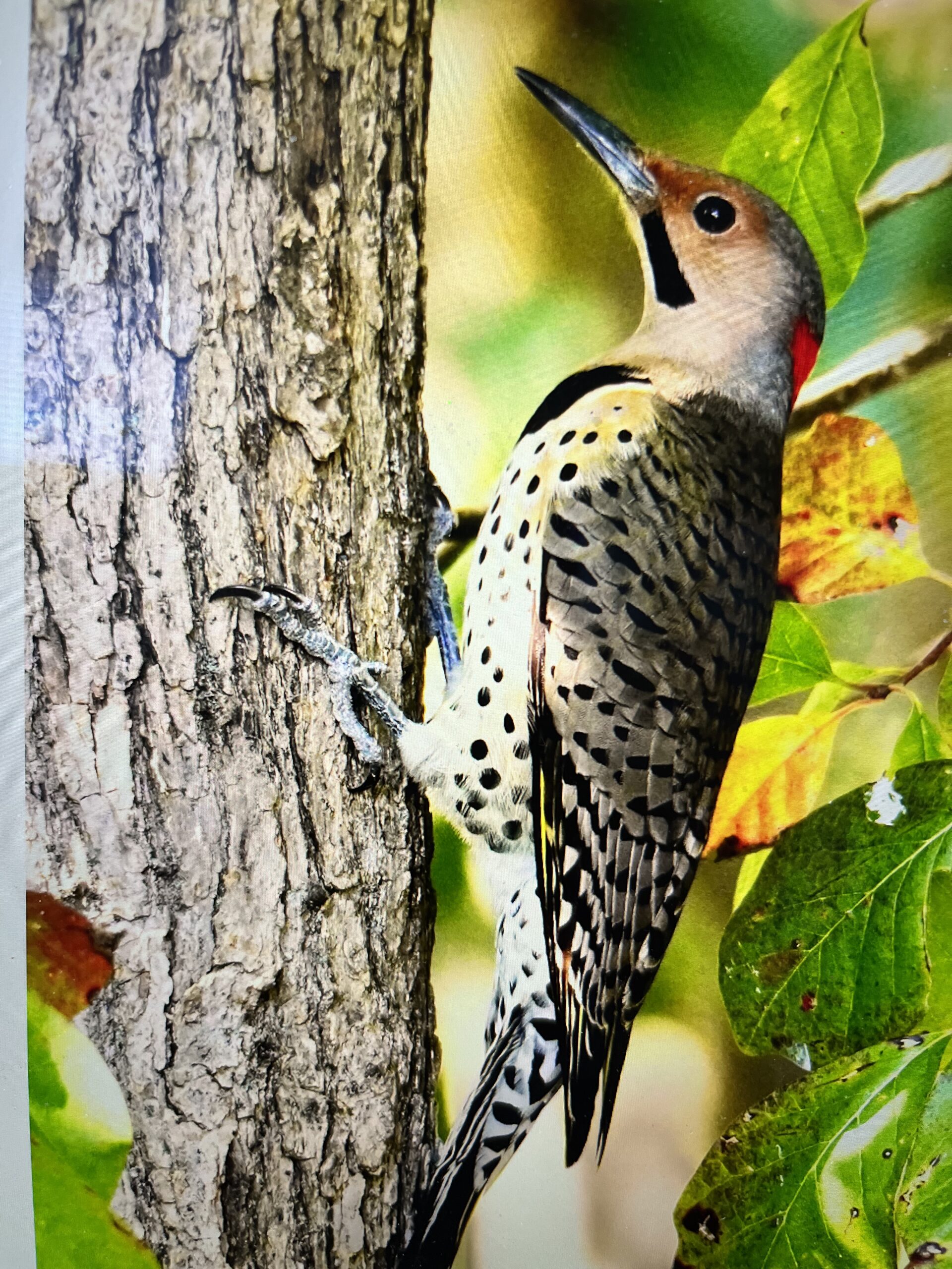 Featured Image