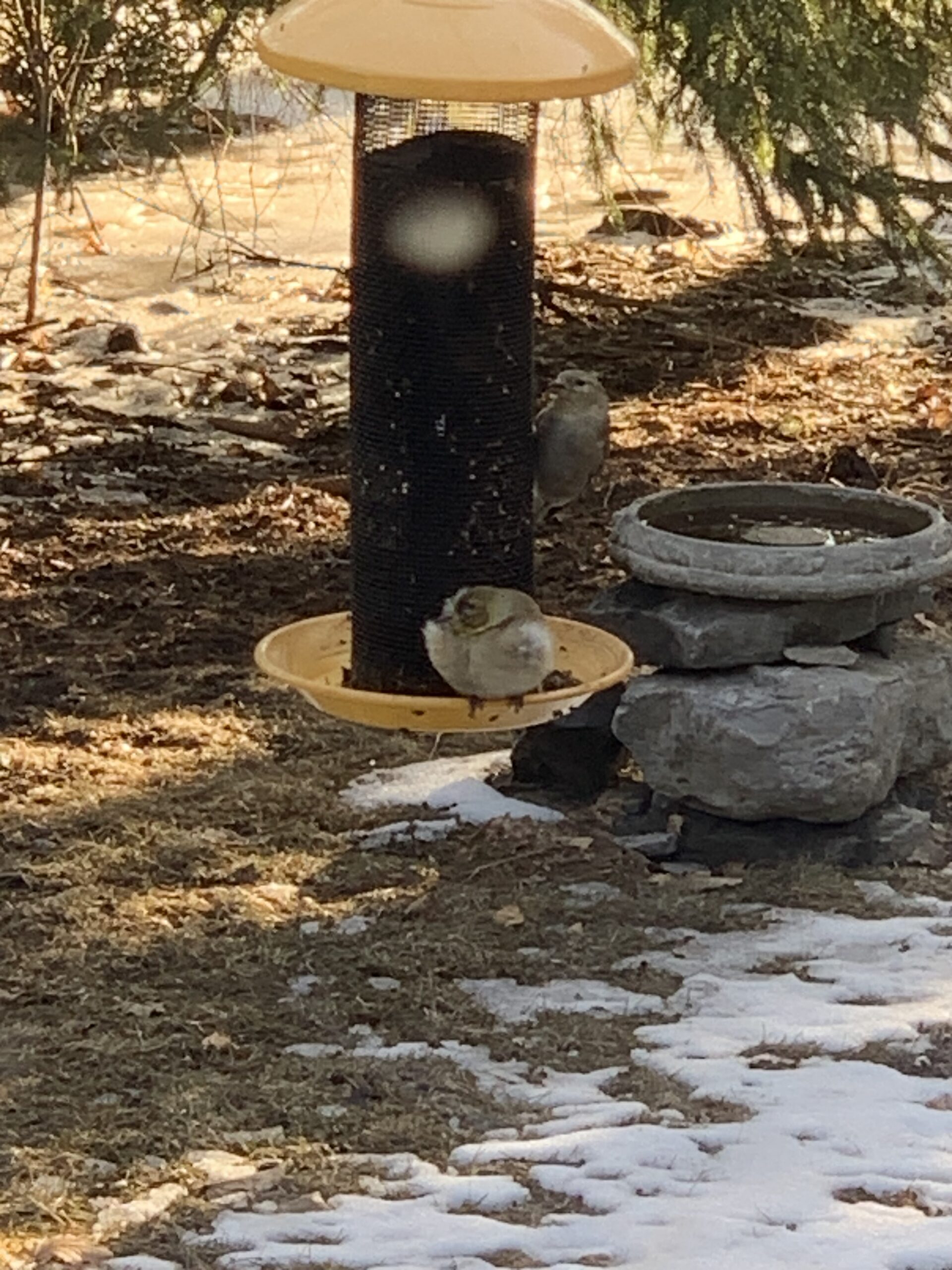 Additional Image 3