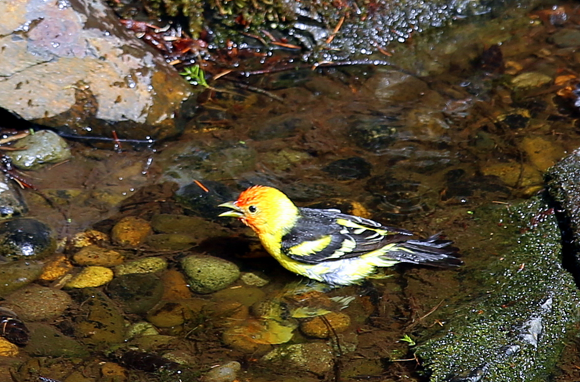 Additional Image 4