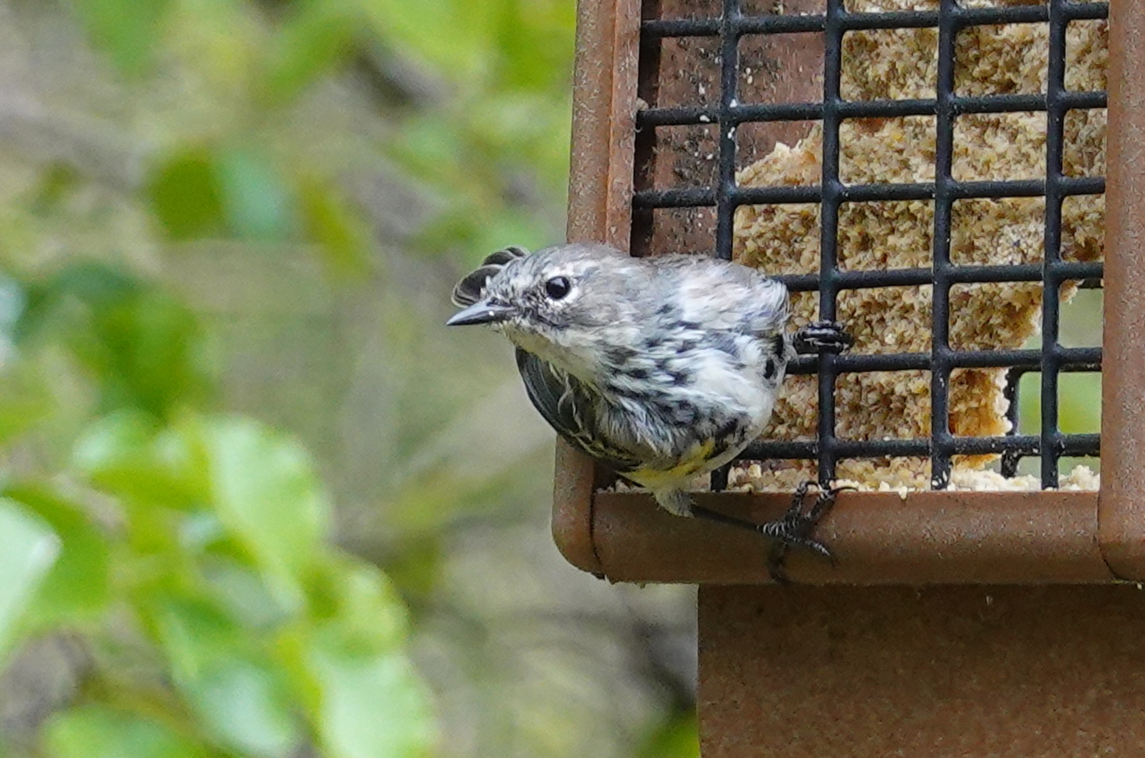 Additional Image 3