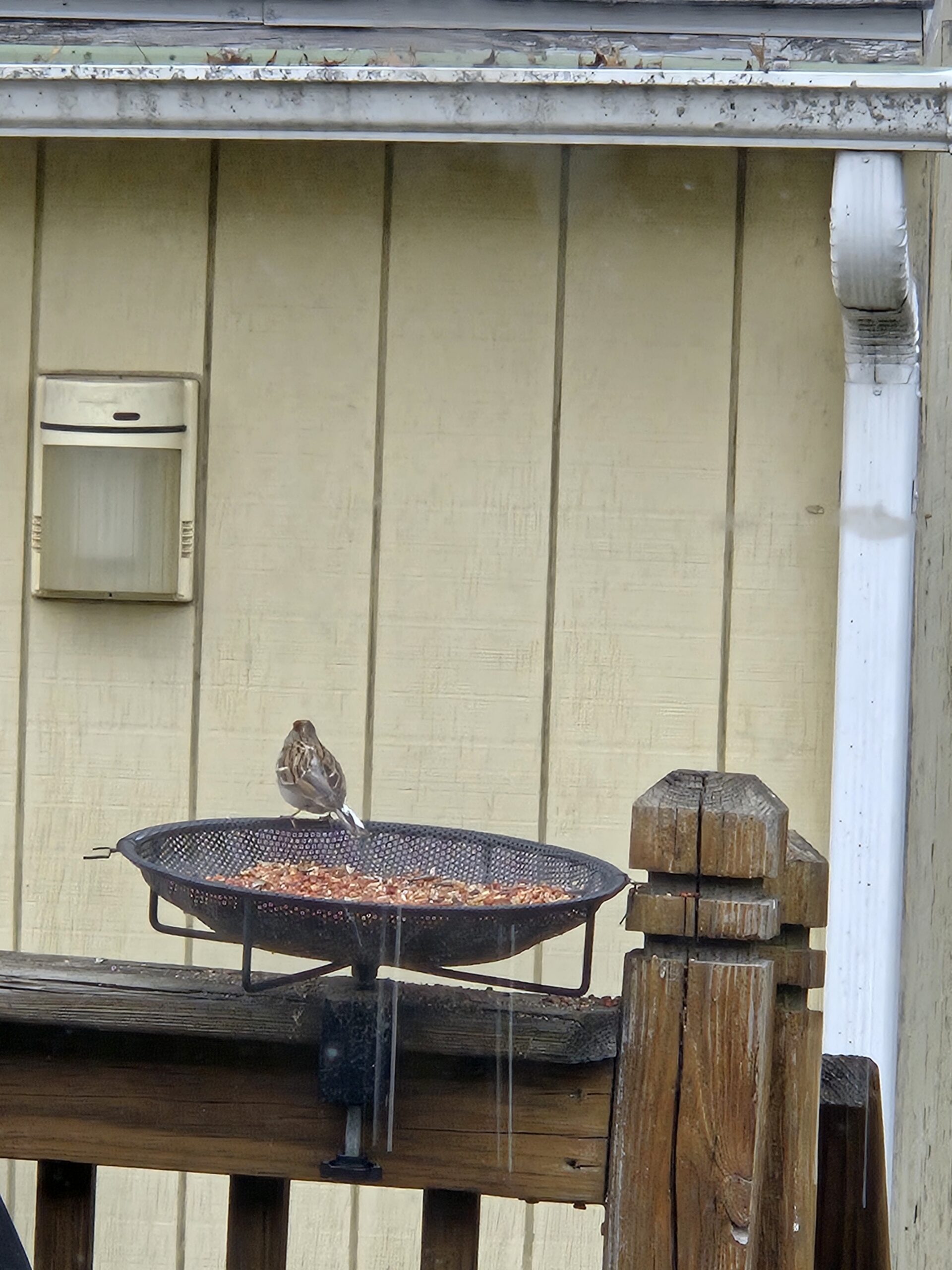 Additional Image 5
