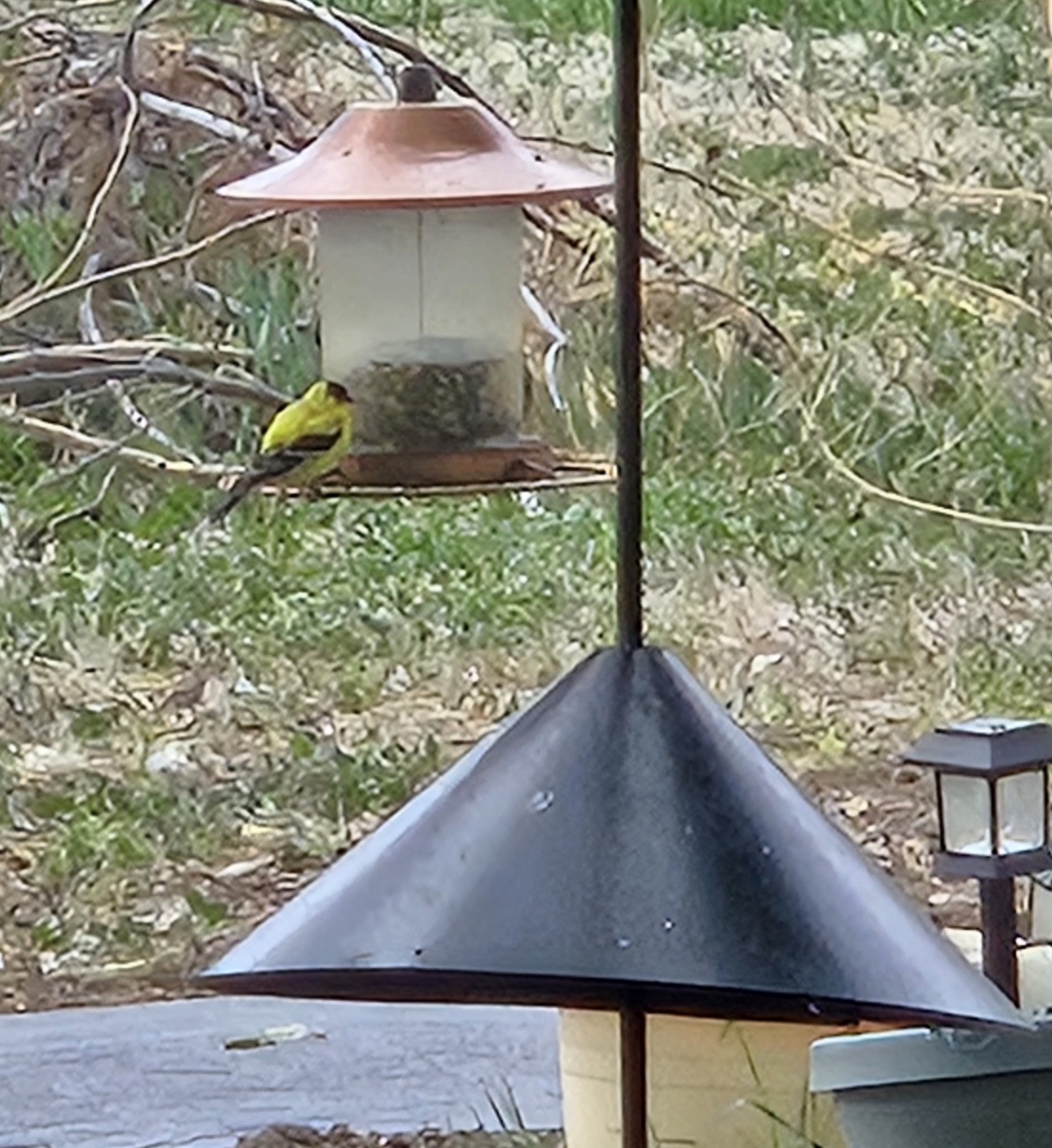 Additional Image 2