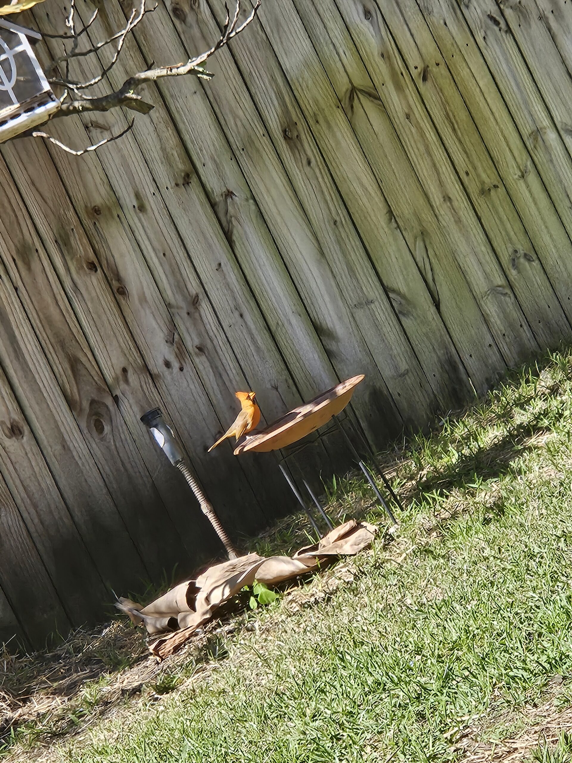 Additional Image 4