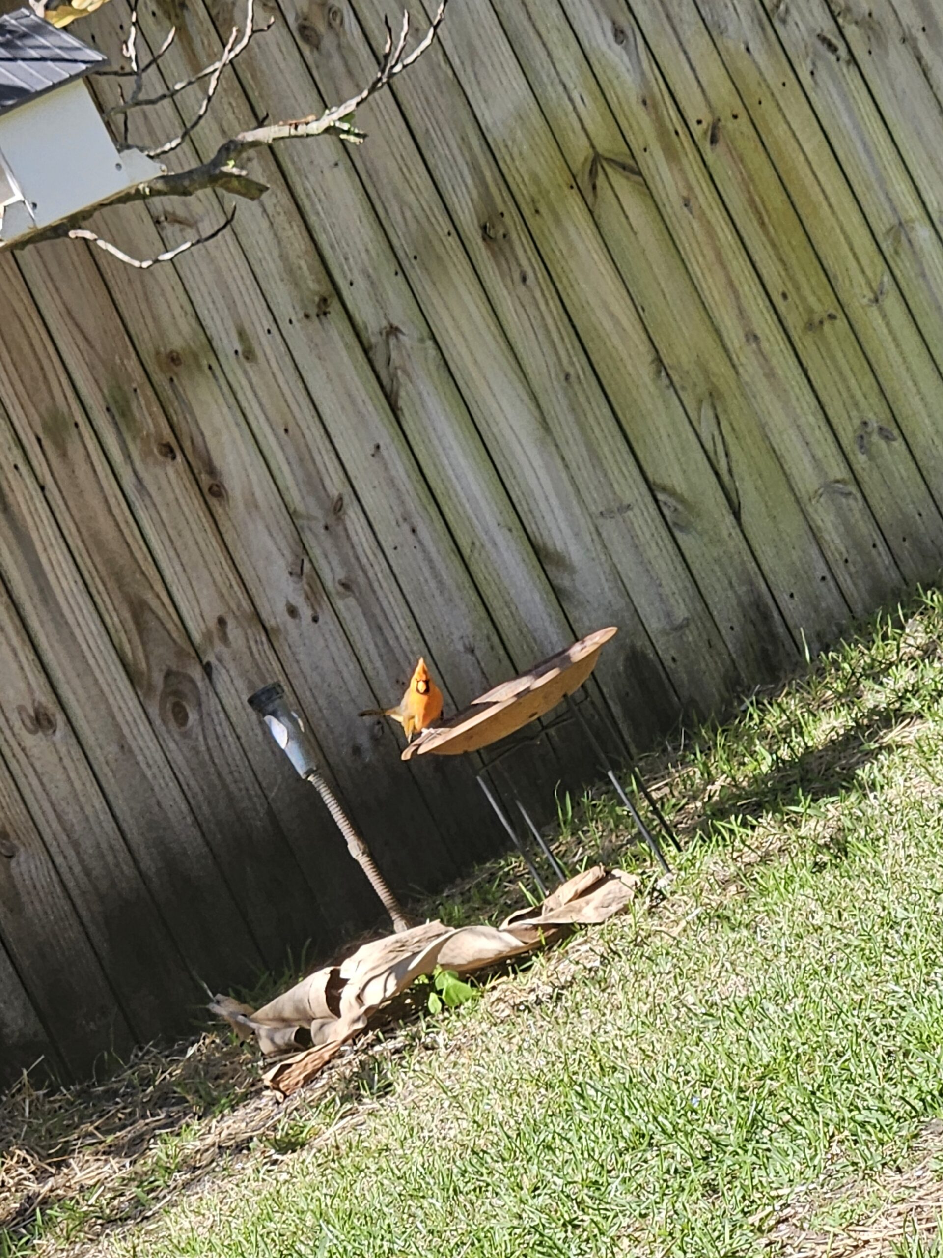 Additional Image 3