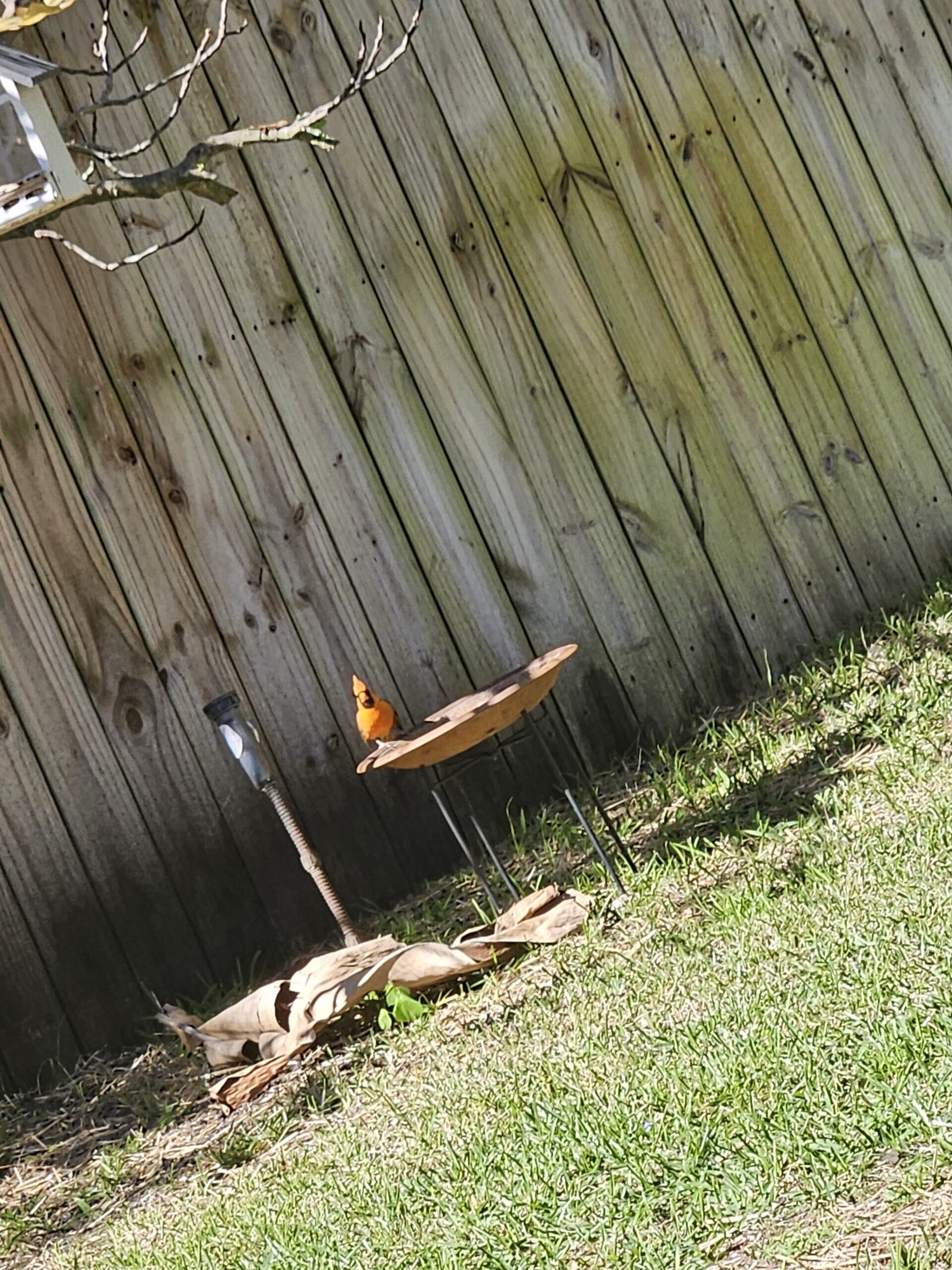 Additional Image 5