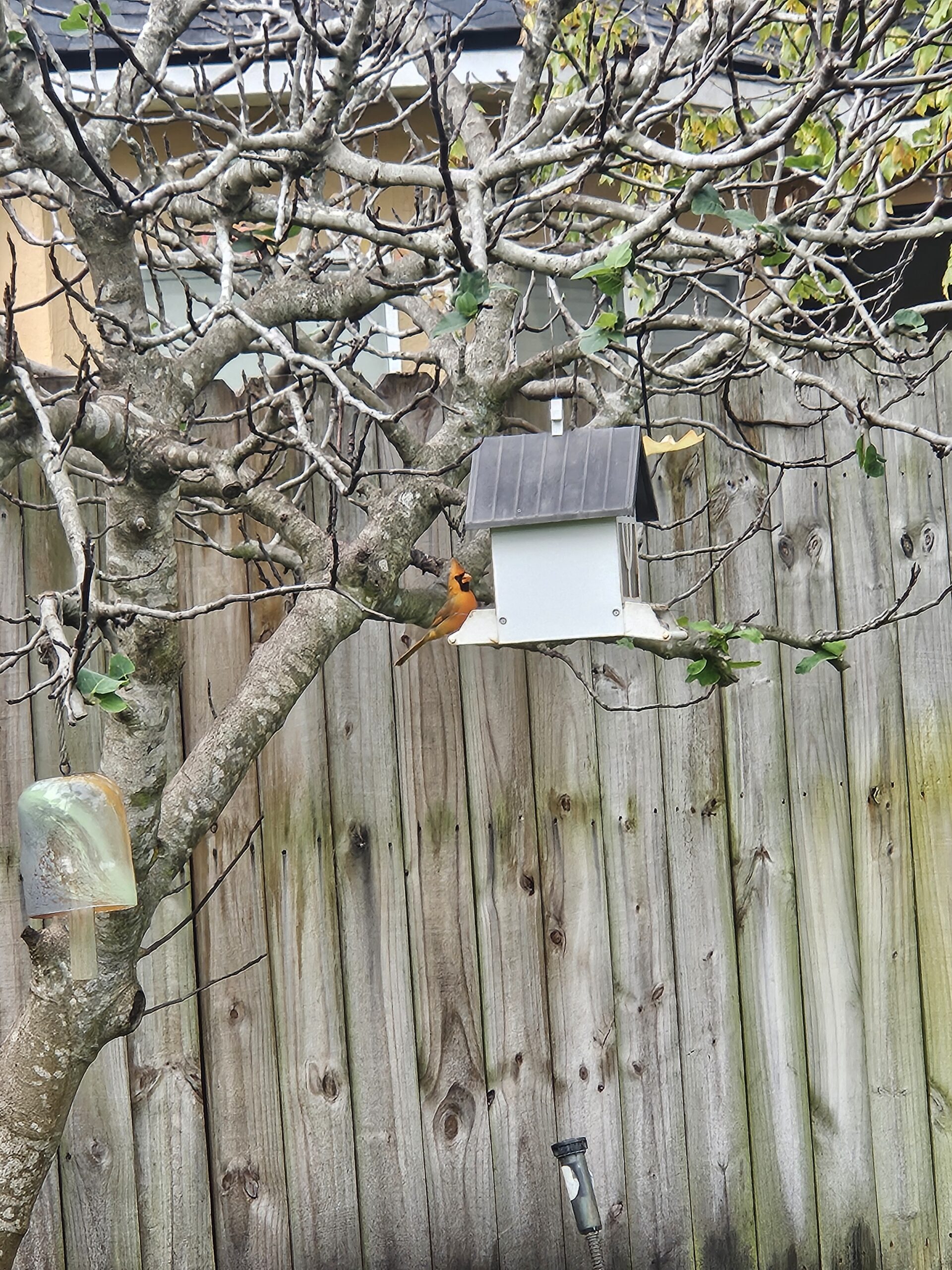 Additional Image 5