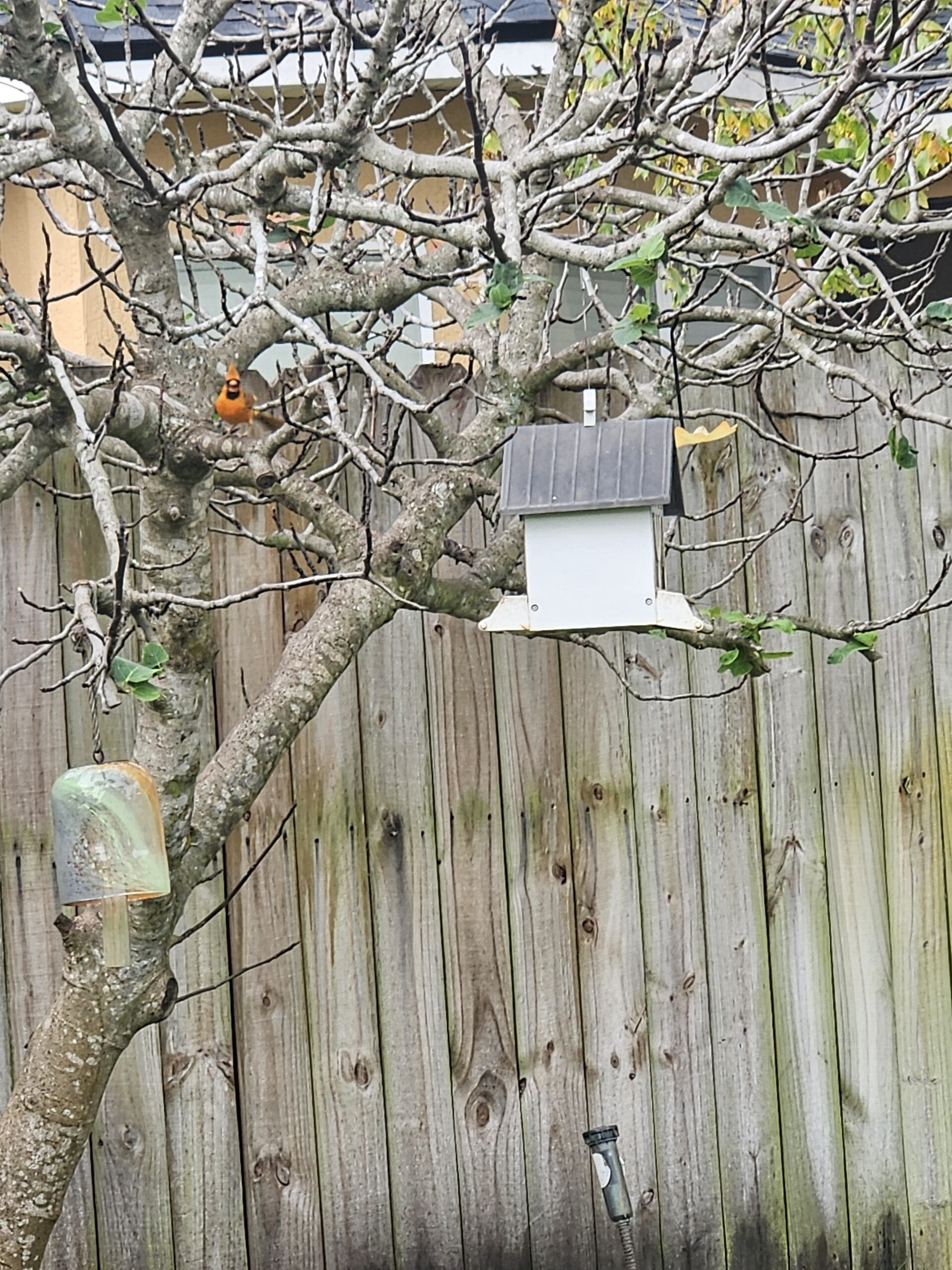 Additional Image 4
