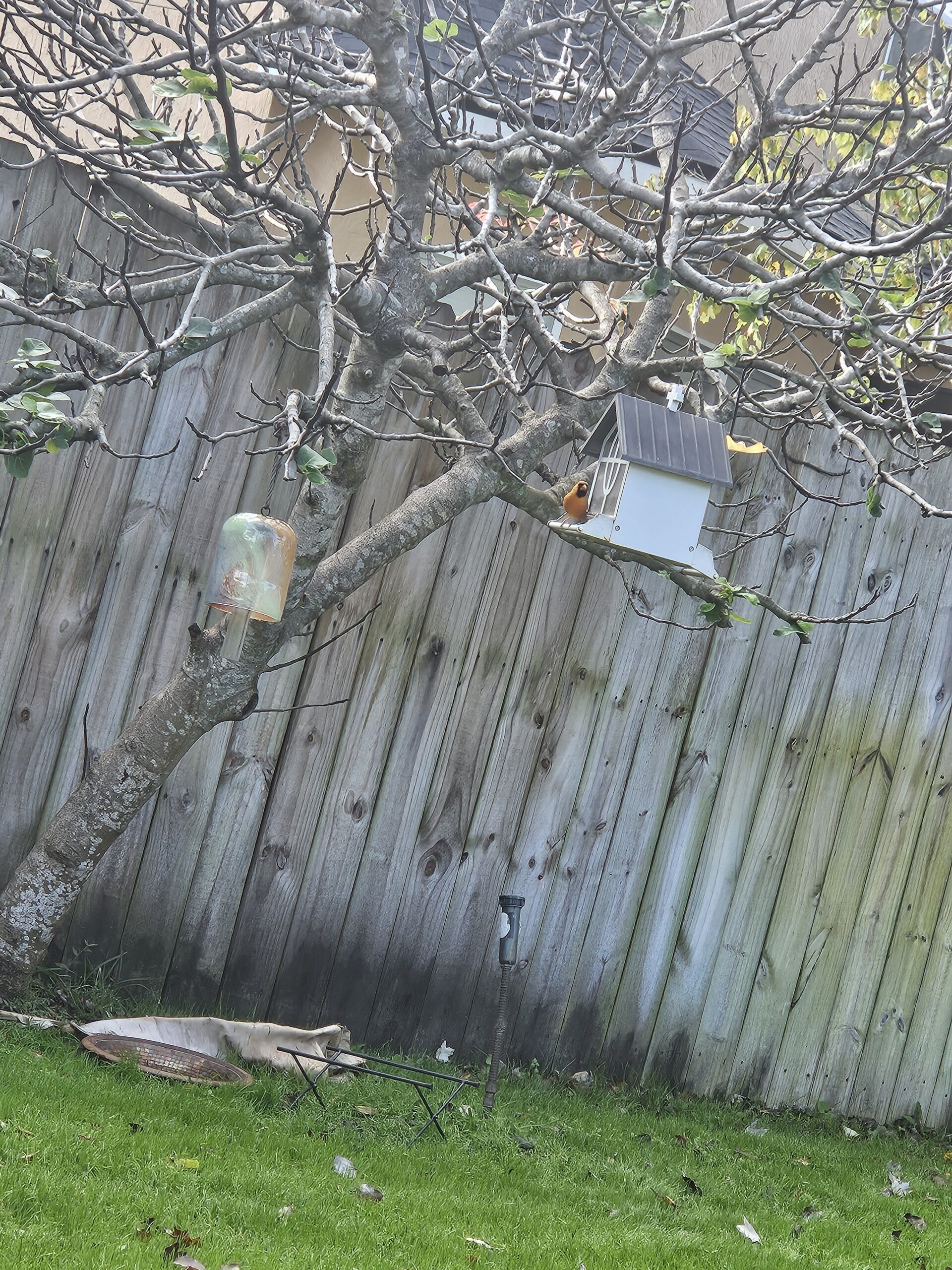 Additional Image 3