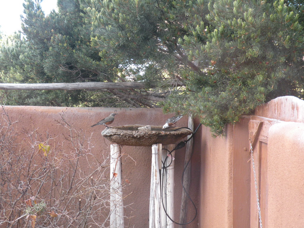 Additional Image 2