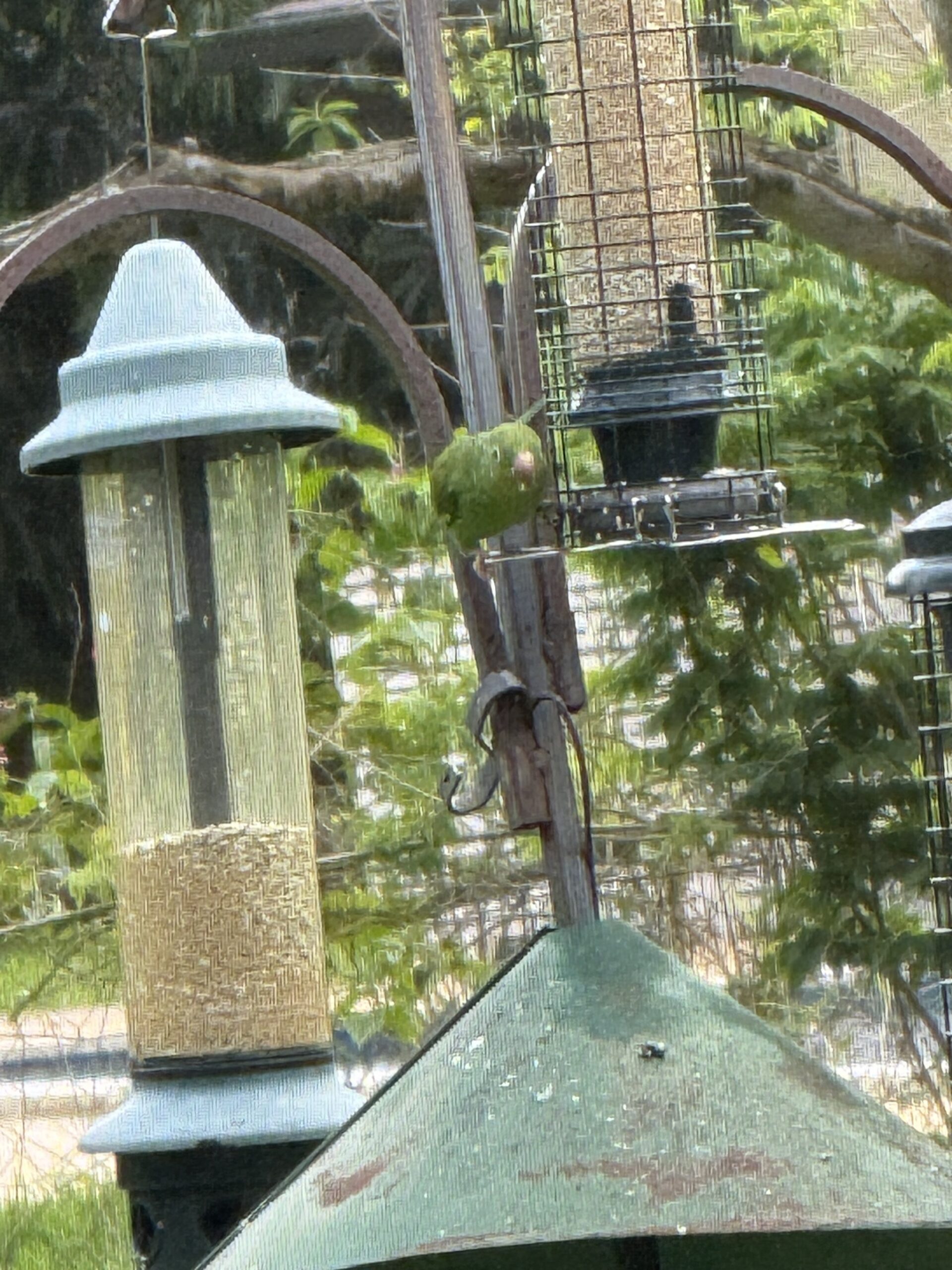 Additional Image 2
