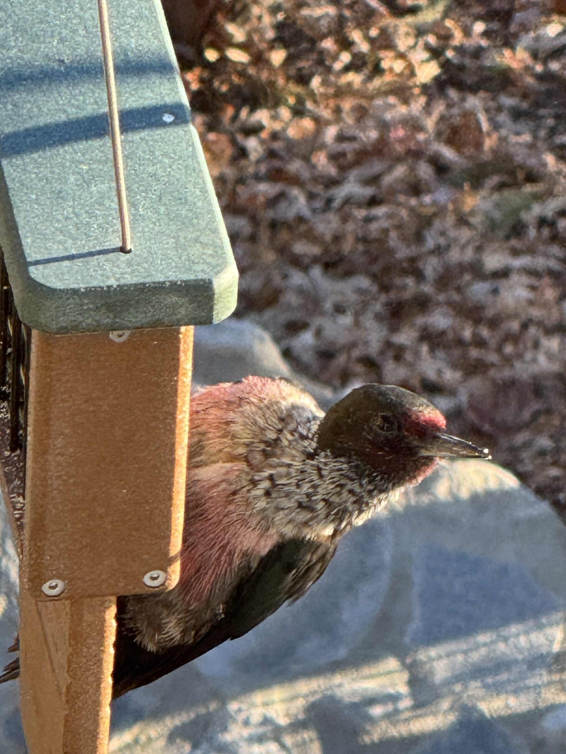 Additional Image 2