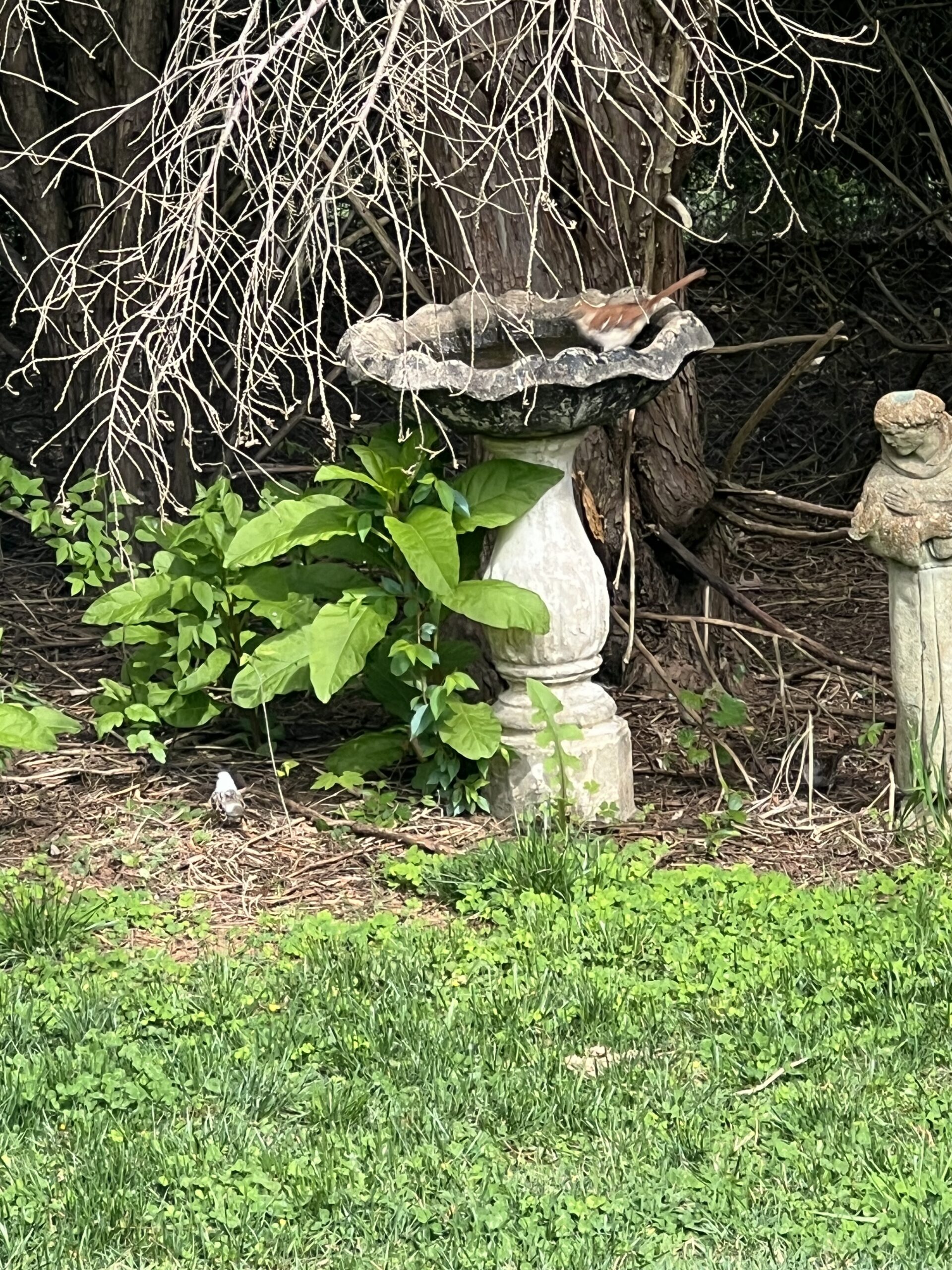Additional Image 4