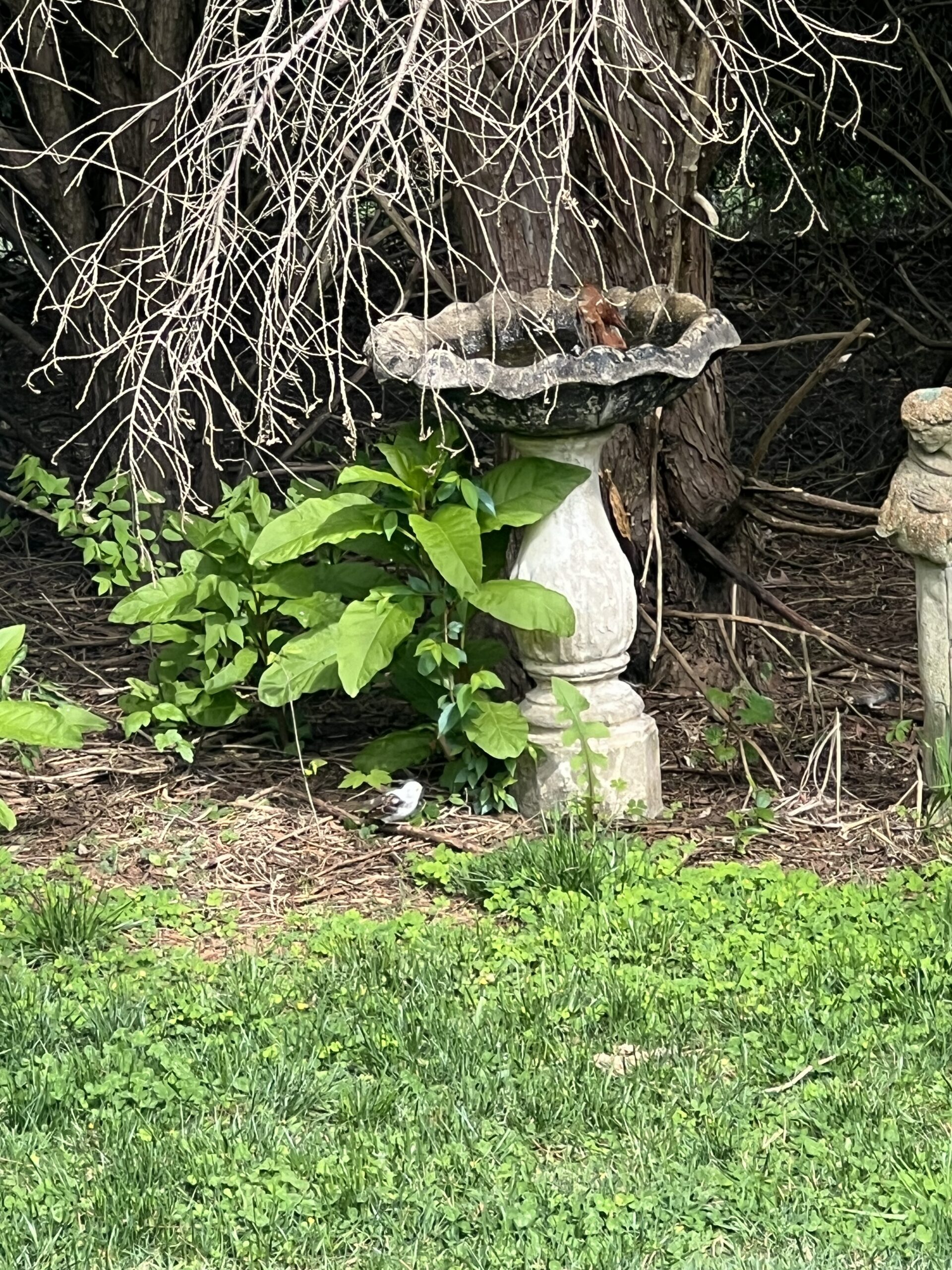 Additional Image 3