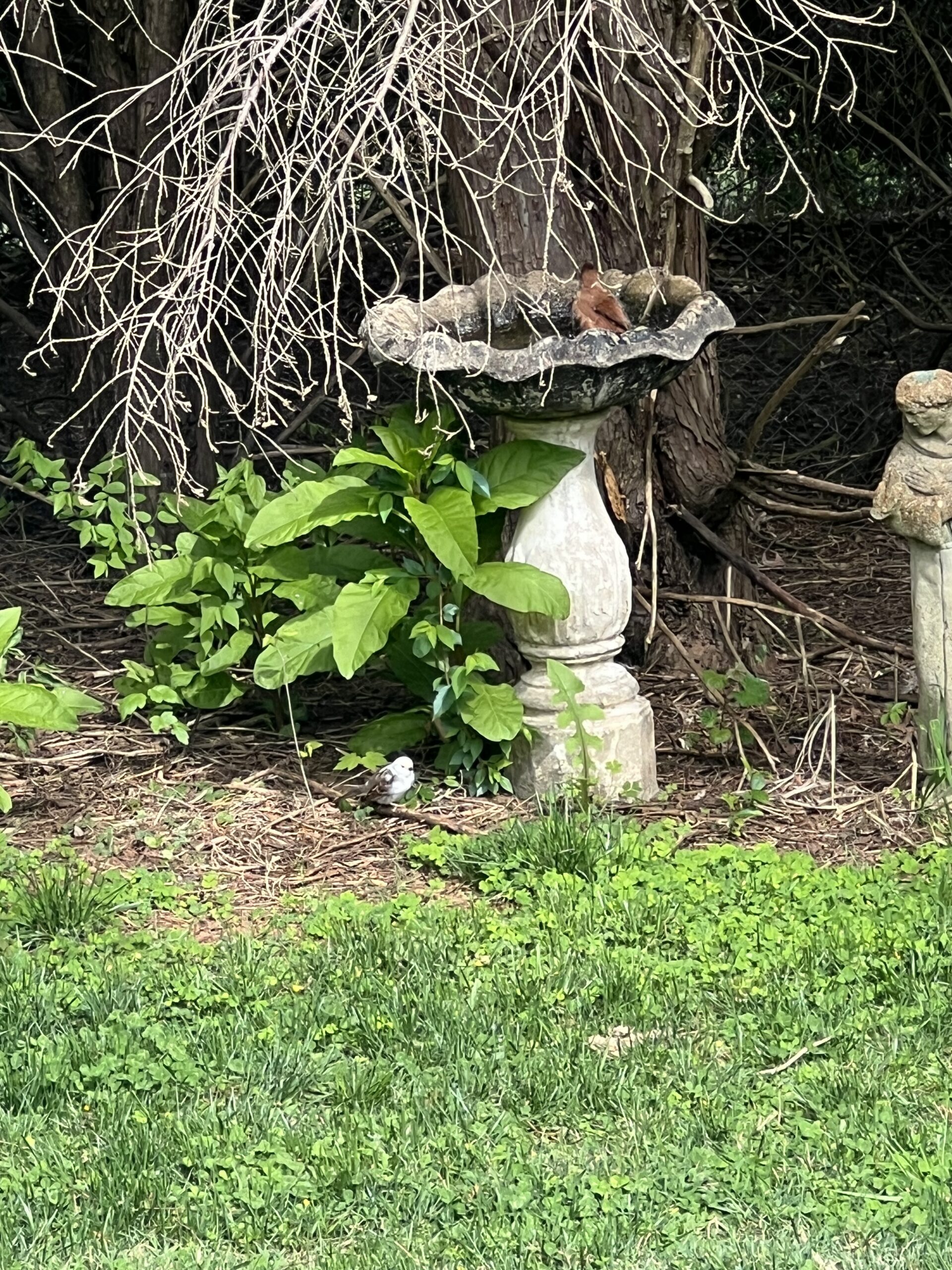 Additional Image 2