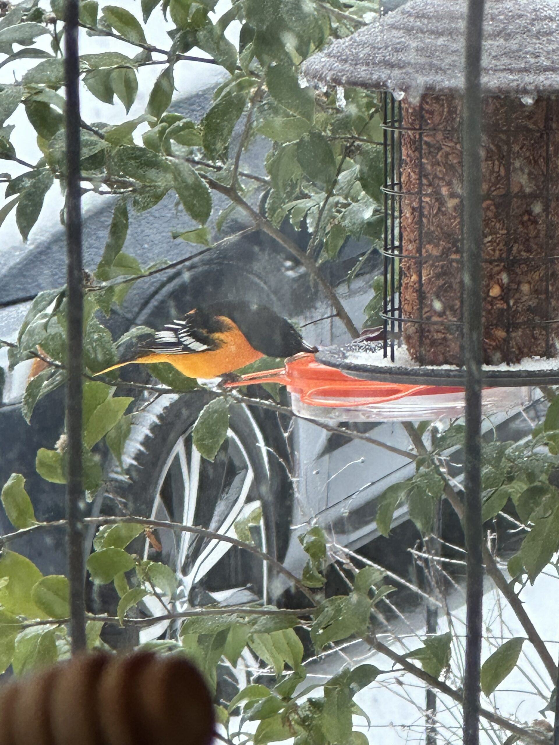 Additional Image 2