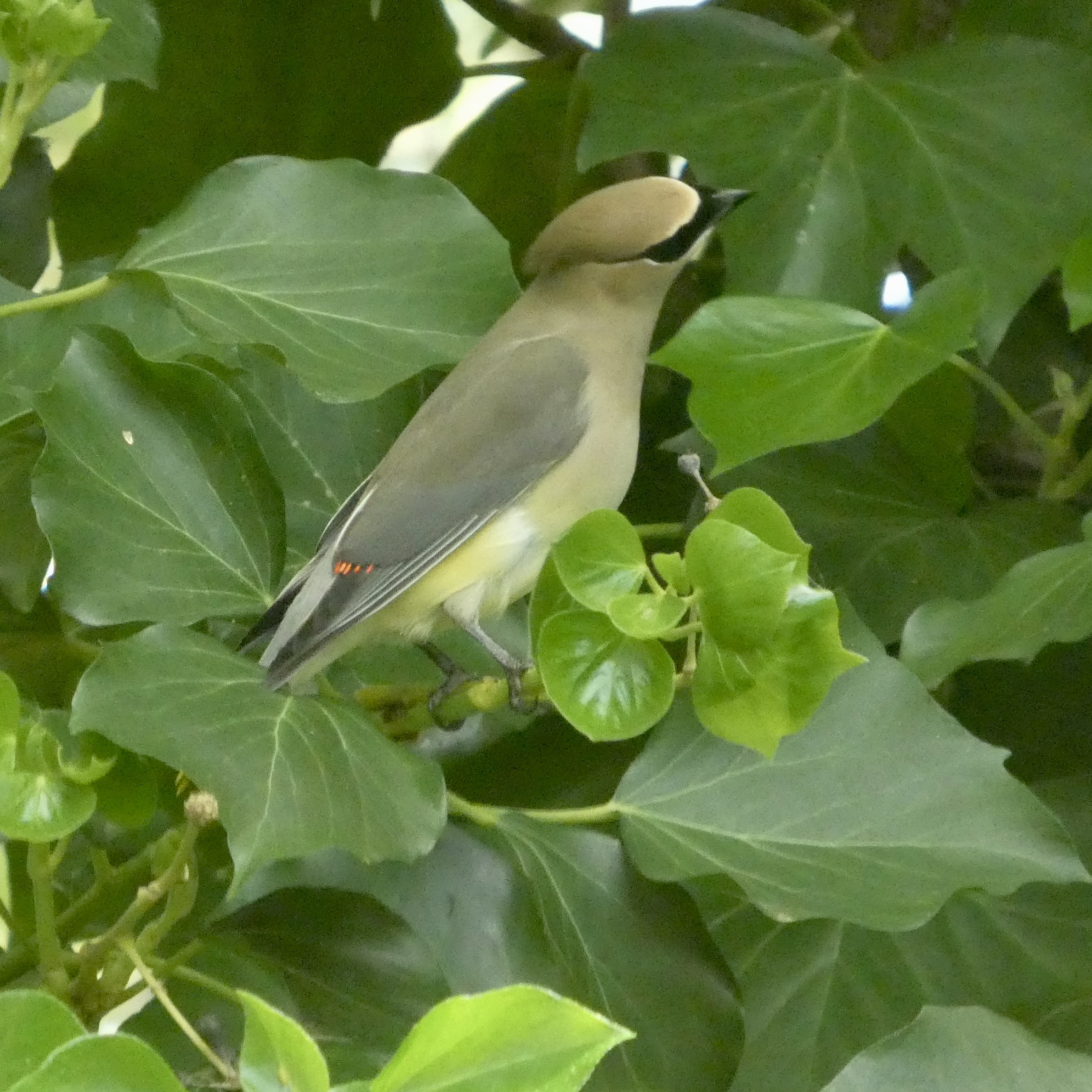Additional Image 2