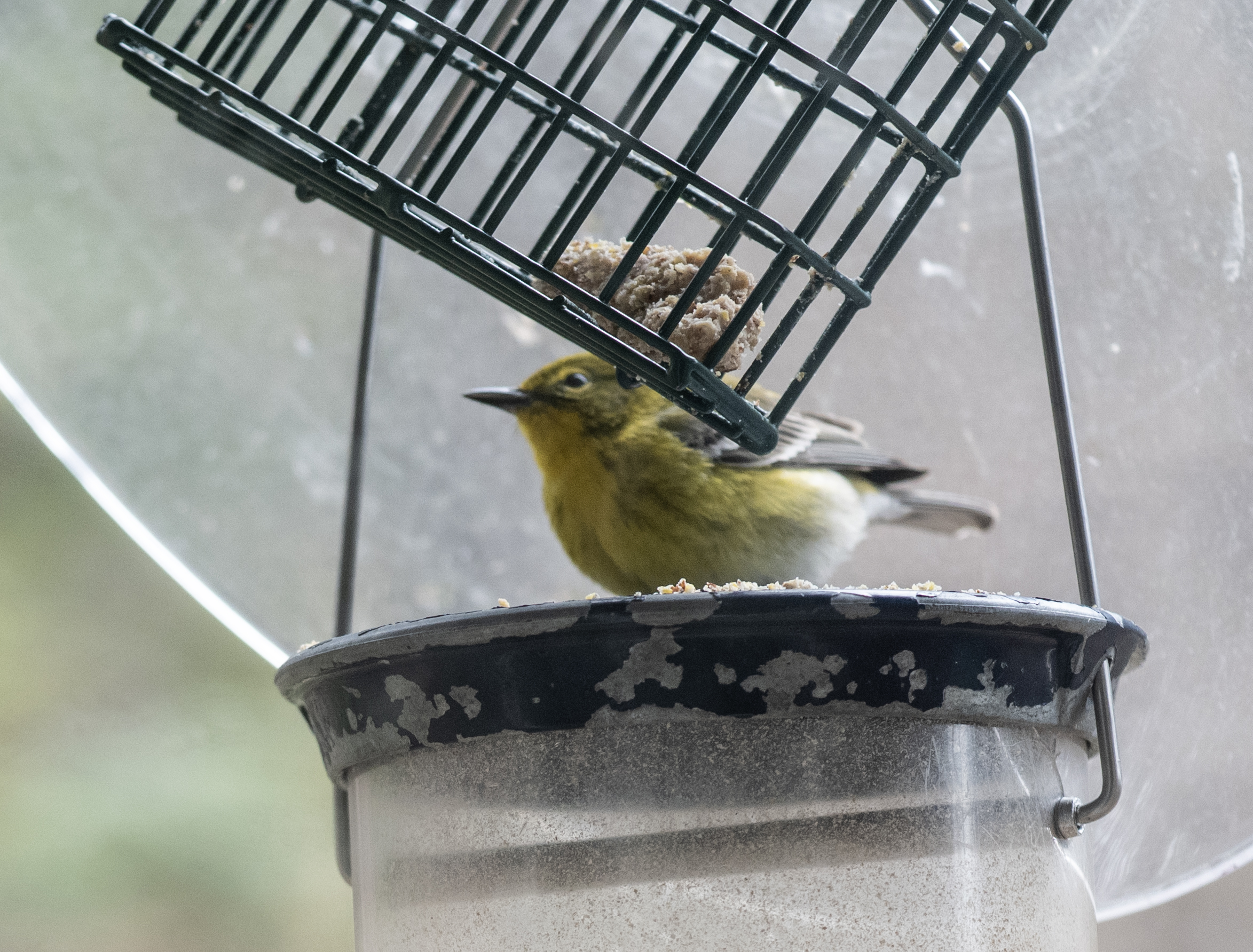 Additional Image 2