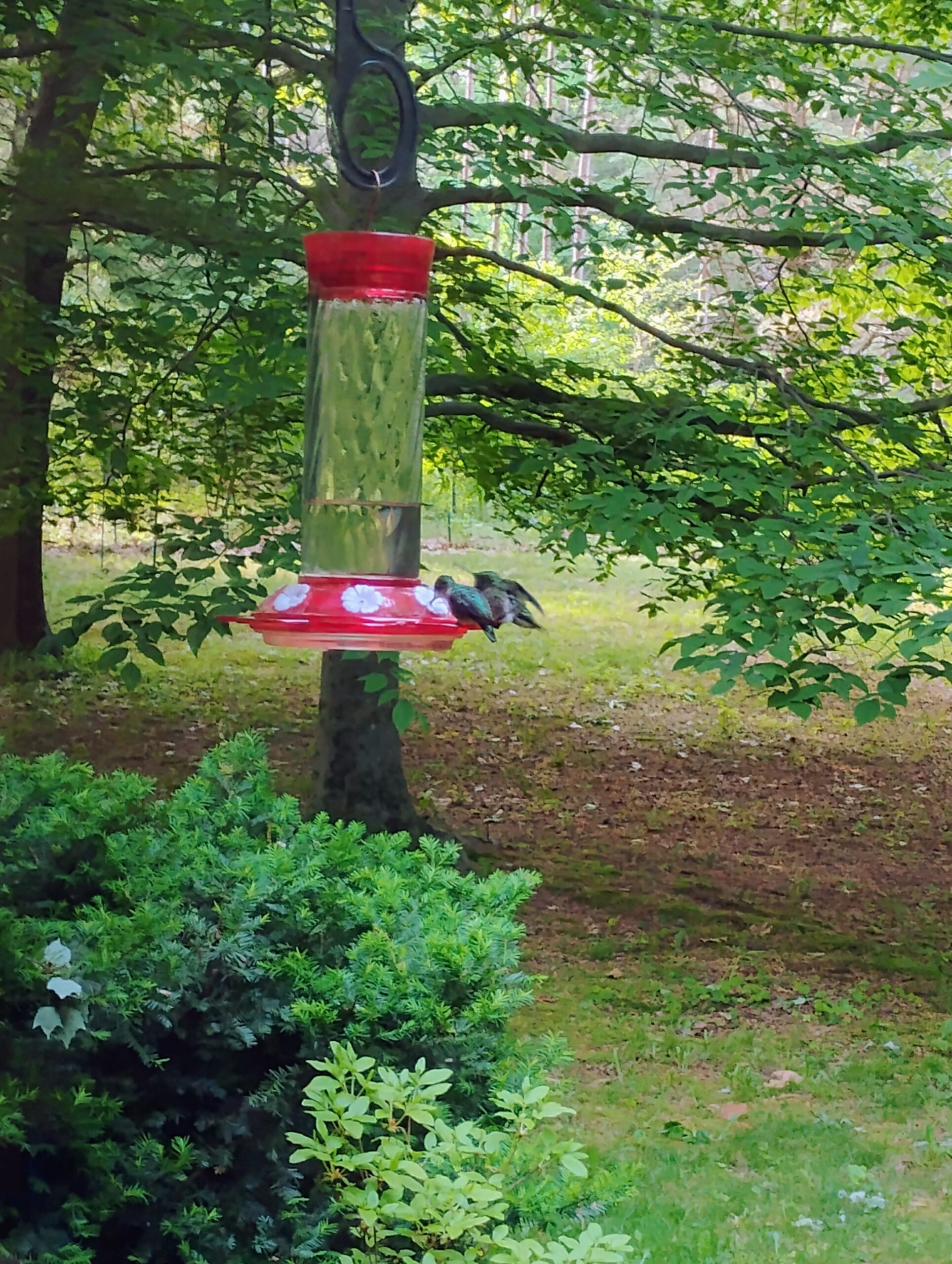 Additional Image 2