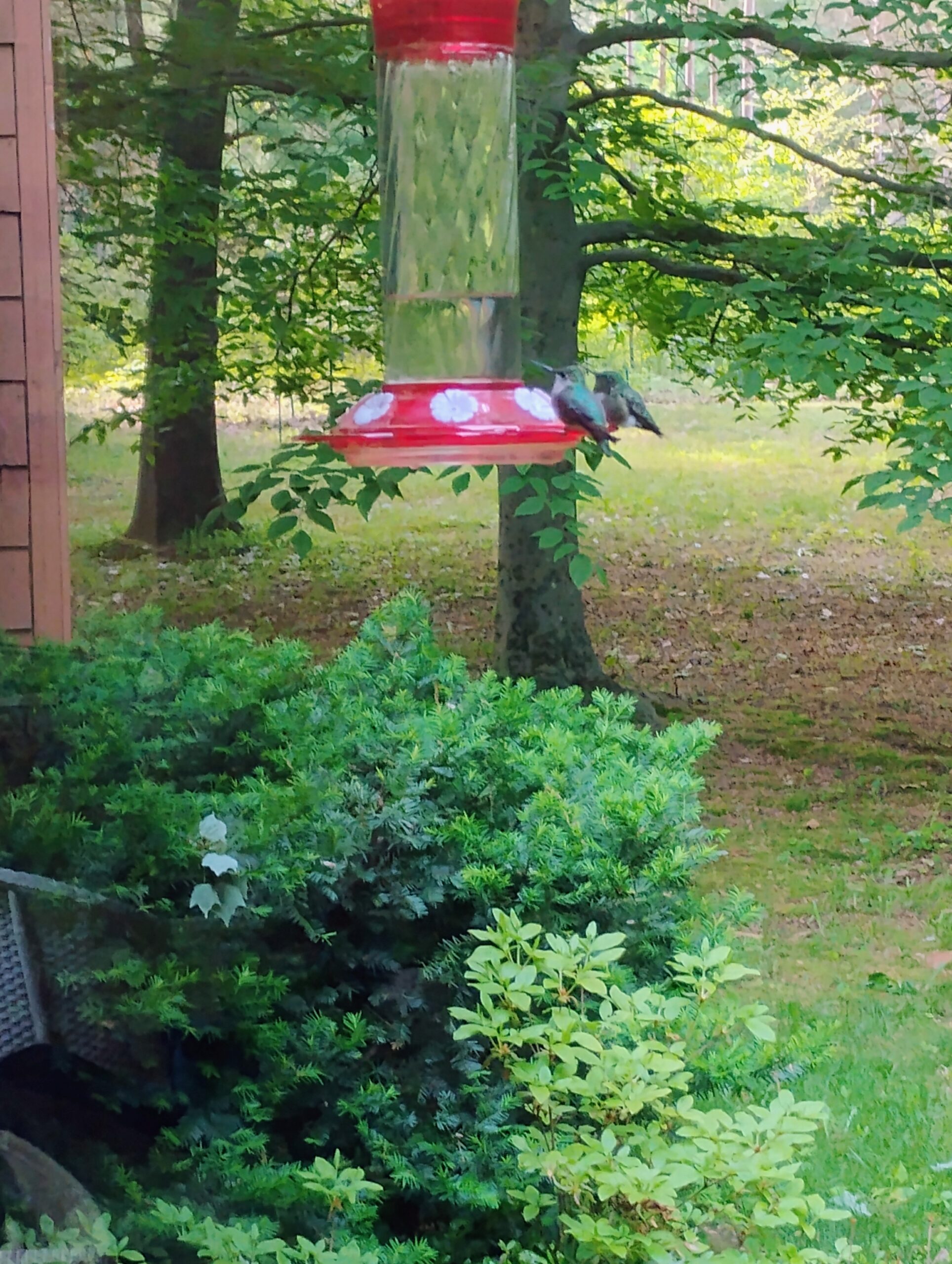 Additional Image 3