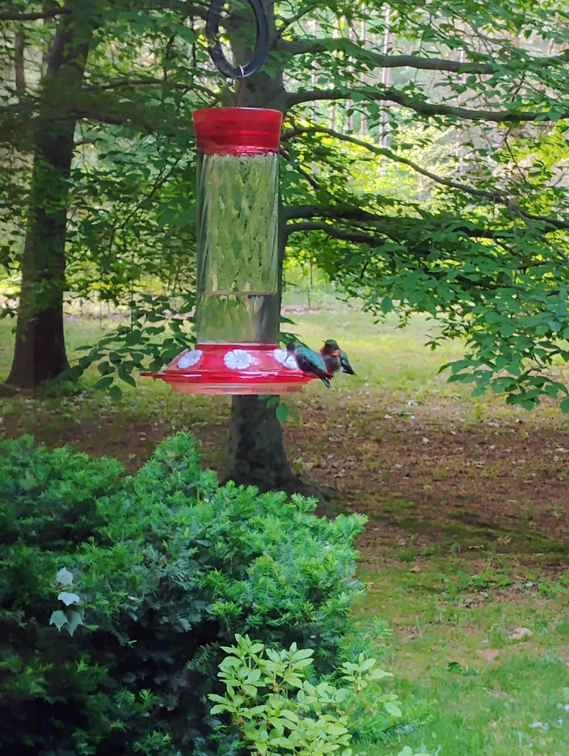 Additional Image 4