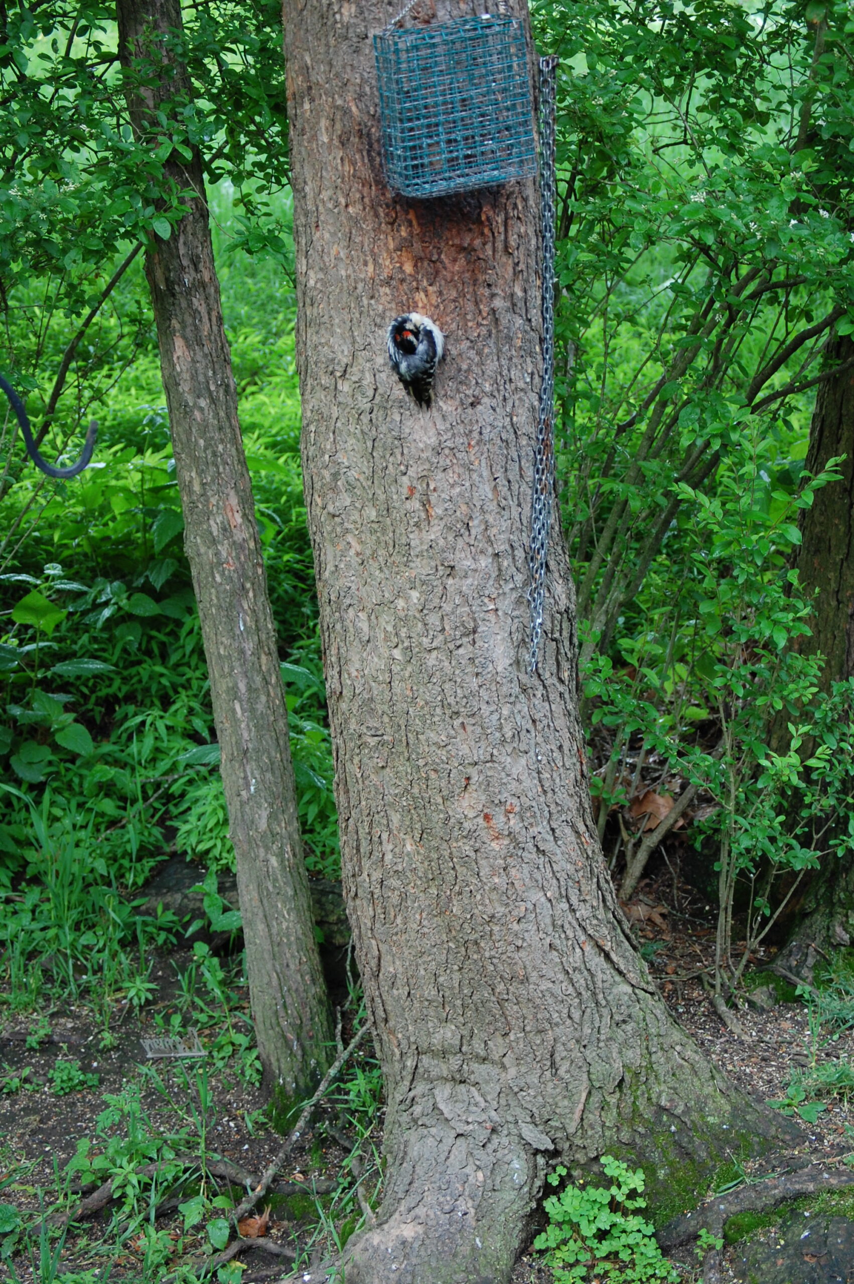 Additional Image 4