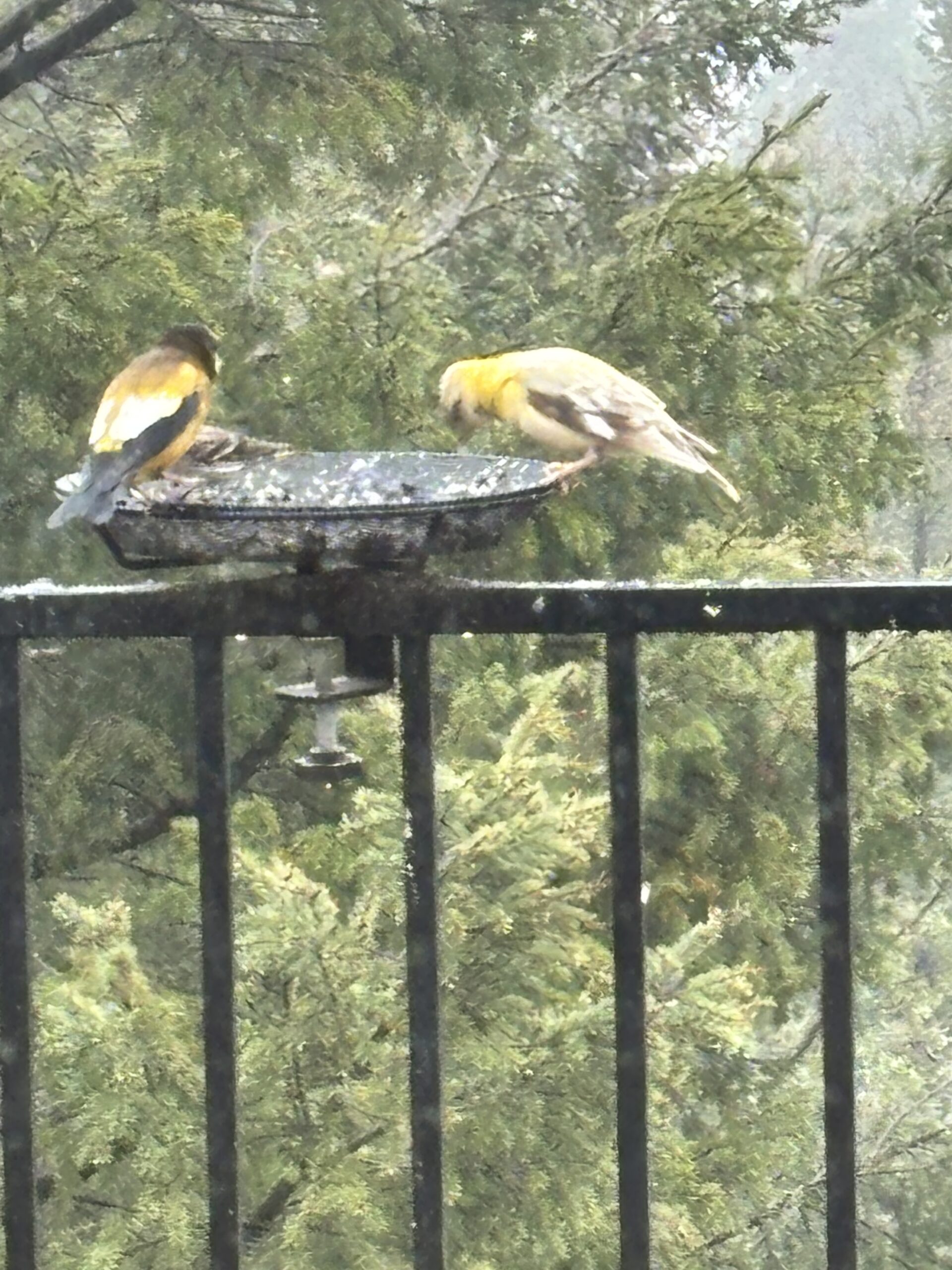 Additional Image 2