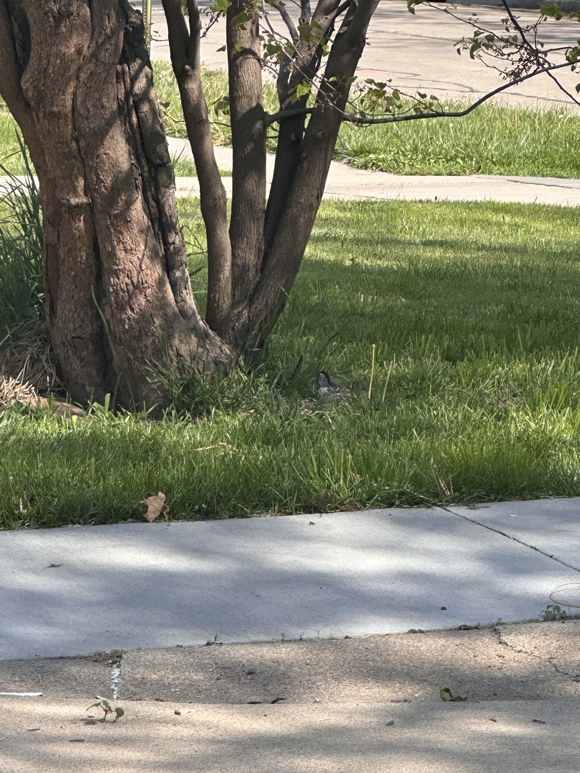 Additional Image 3