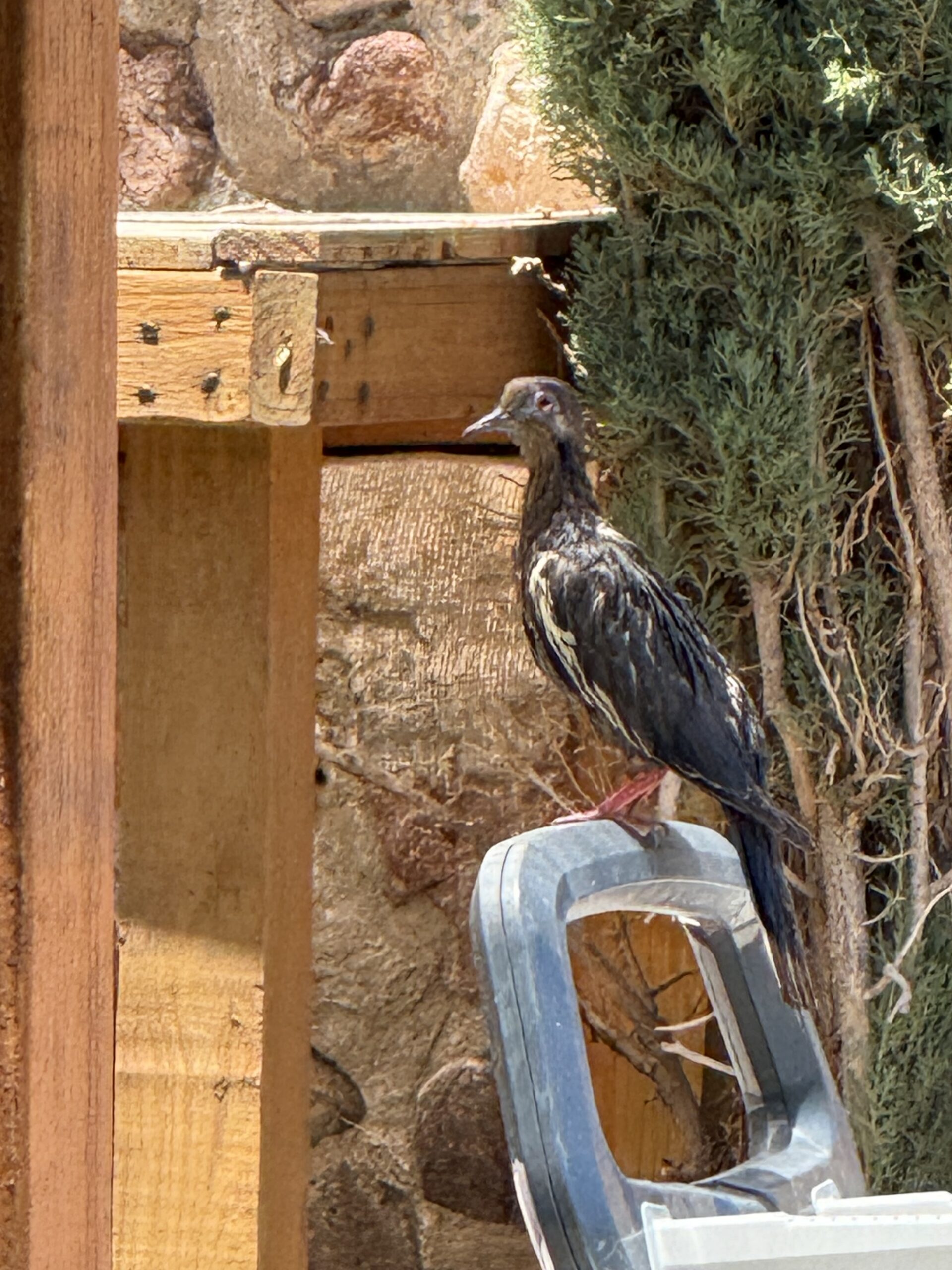 Additional Image 3