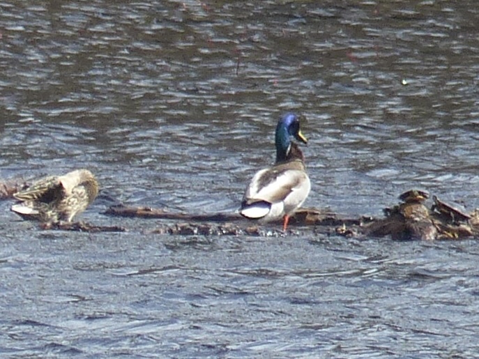Additional Image 2