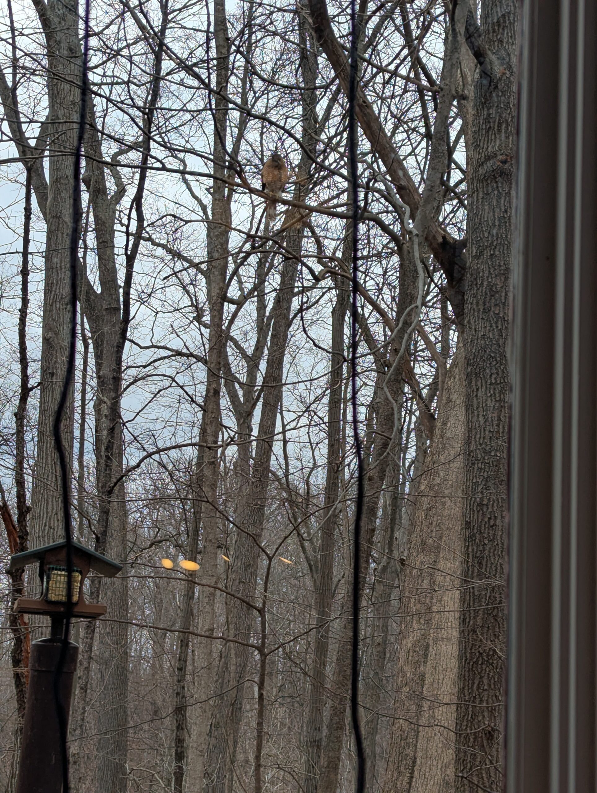 Additional Image 3
