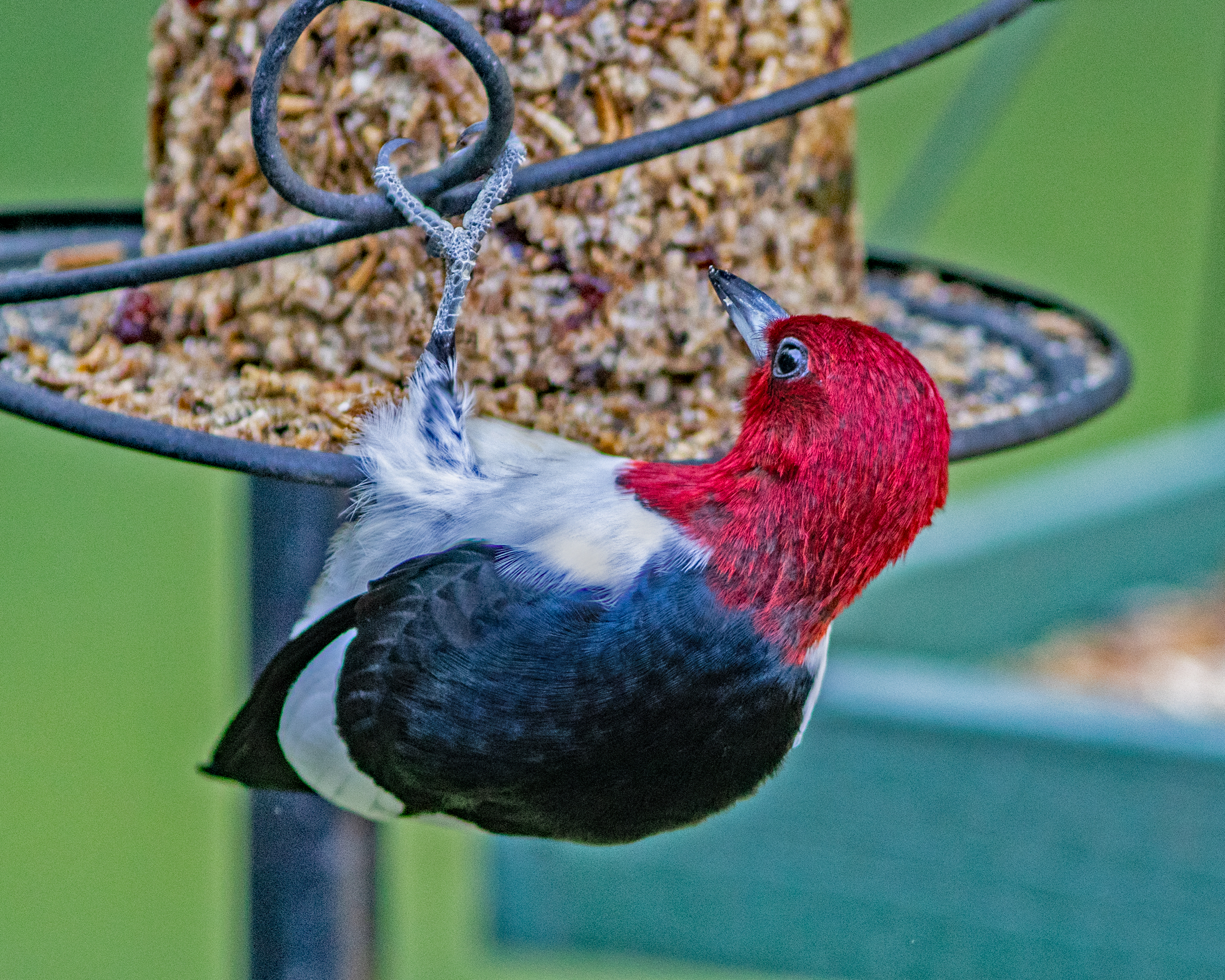 Featured Image