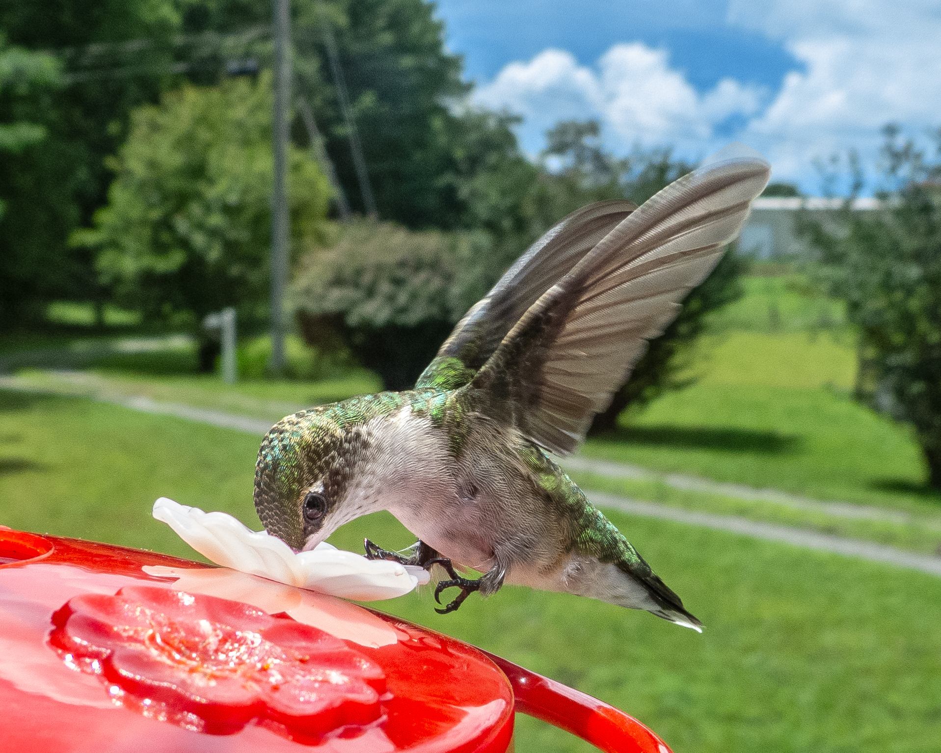 Additional Image 2