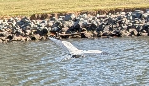 Additional Image 2