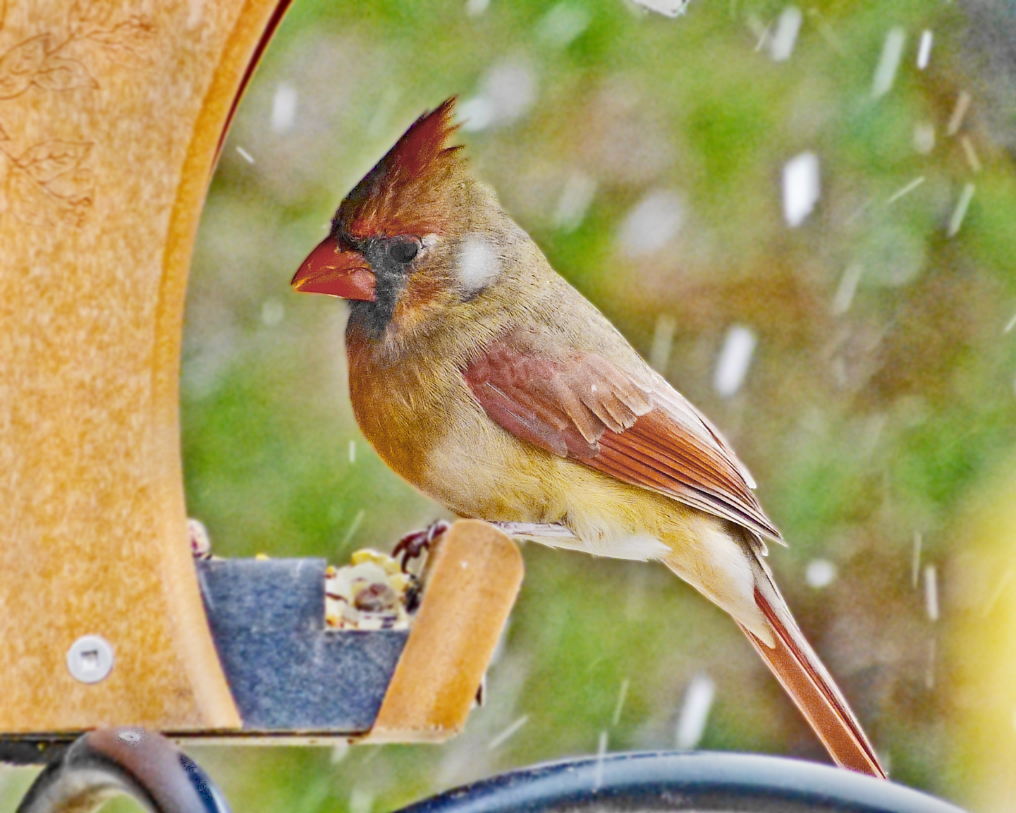 Featured Image