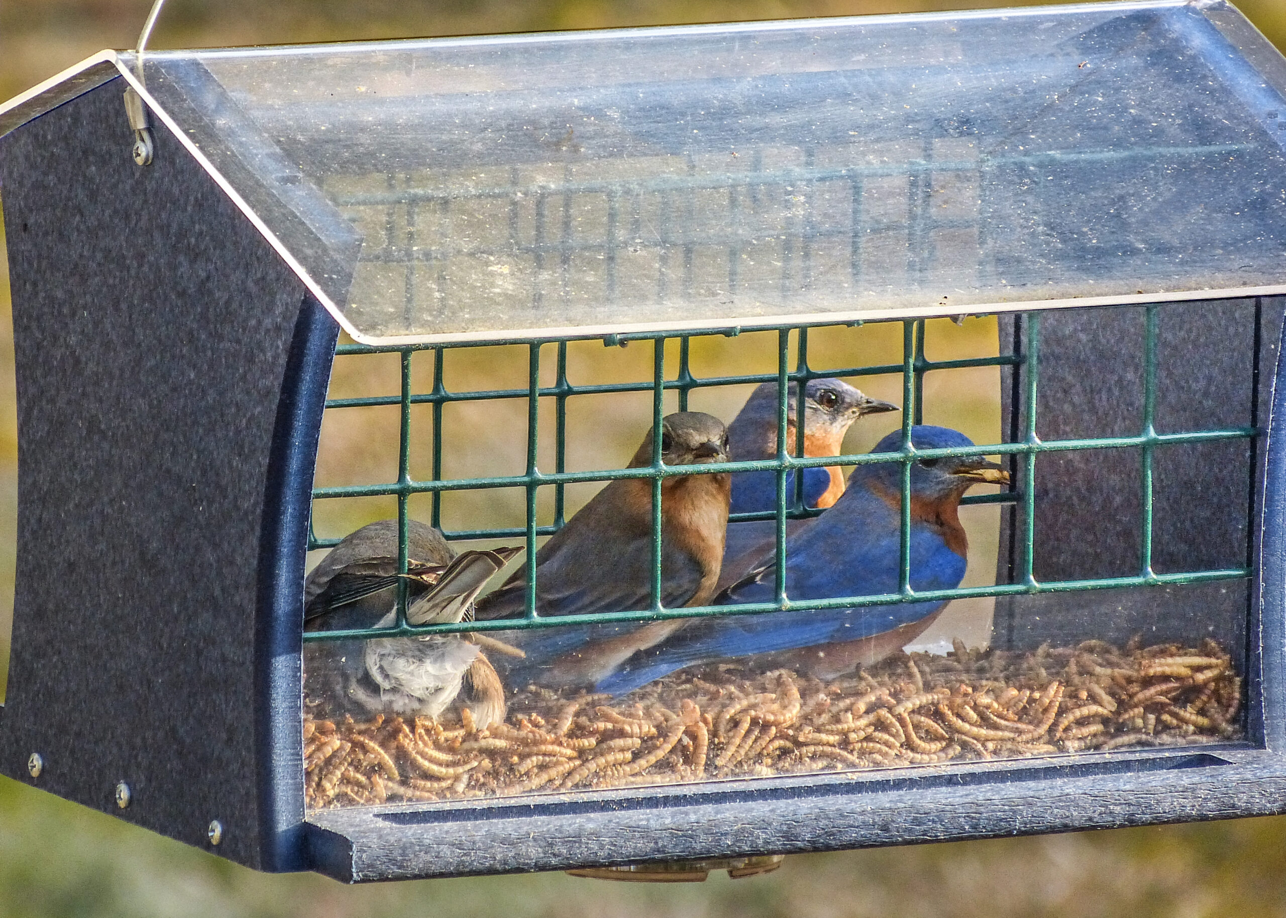 Additional Image 3