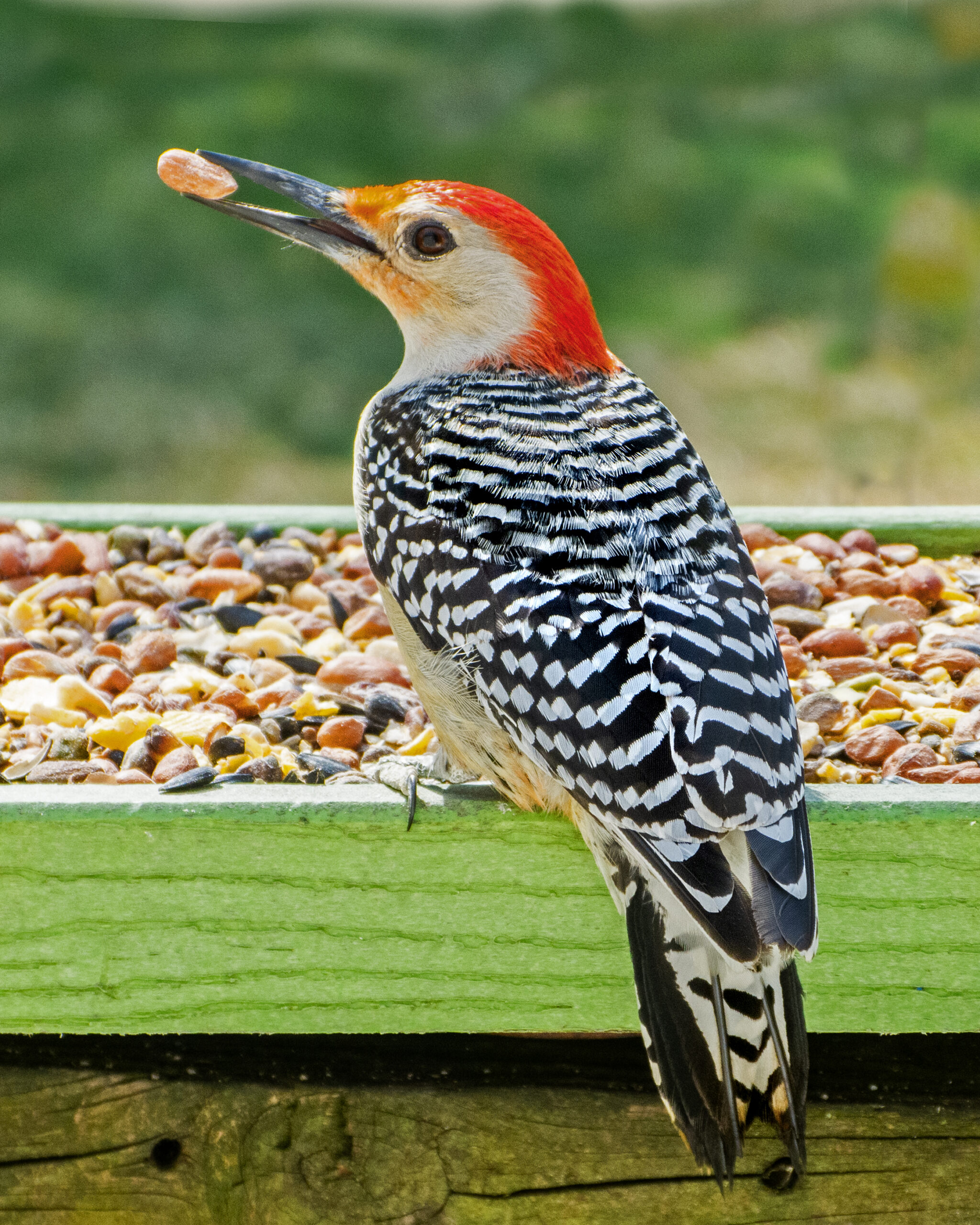 Featured Image